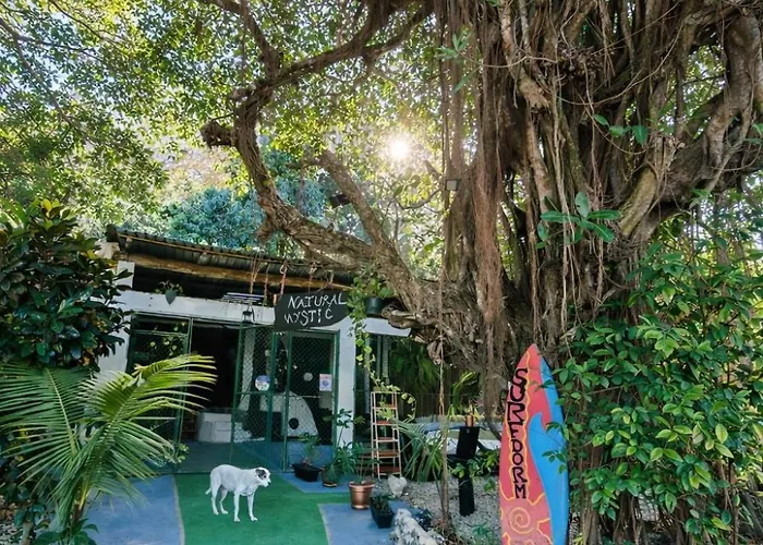 Natural Mystic Jungle Sanctuary 5 Min Walk Nicoya