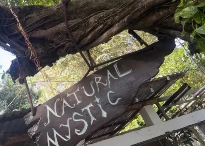 Hostal Natural Mystic Jungle Sanctuary 5 Min Walk *